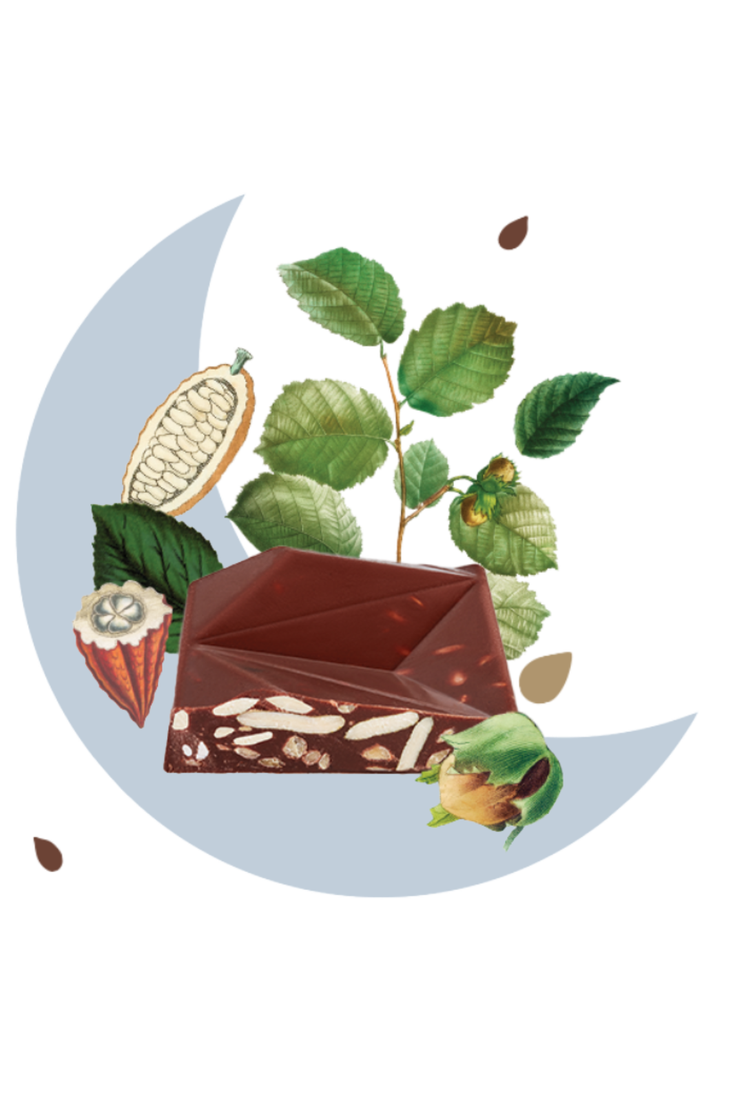 Moonchy Hazelnut Crunch Box (8 Bars)