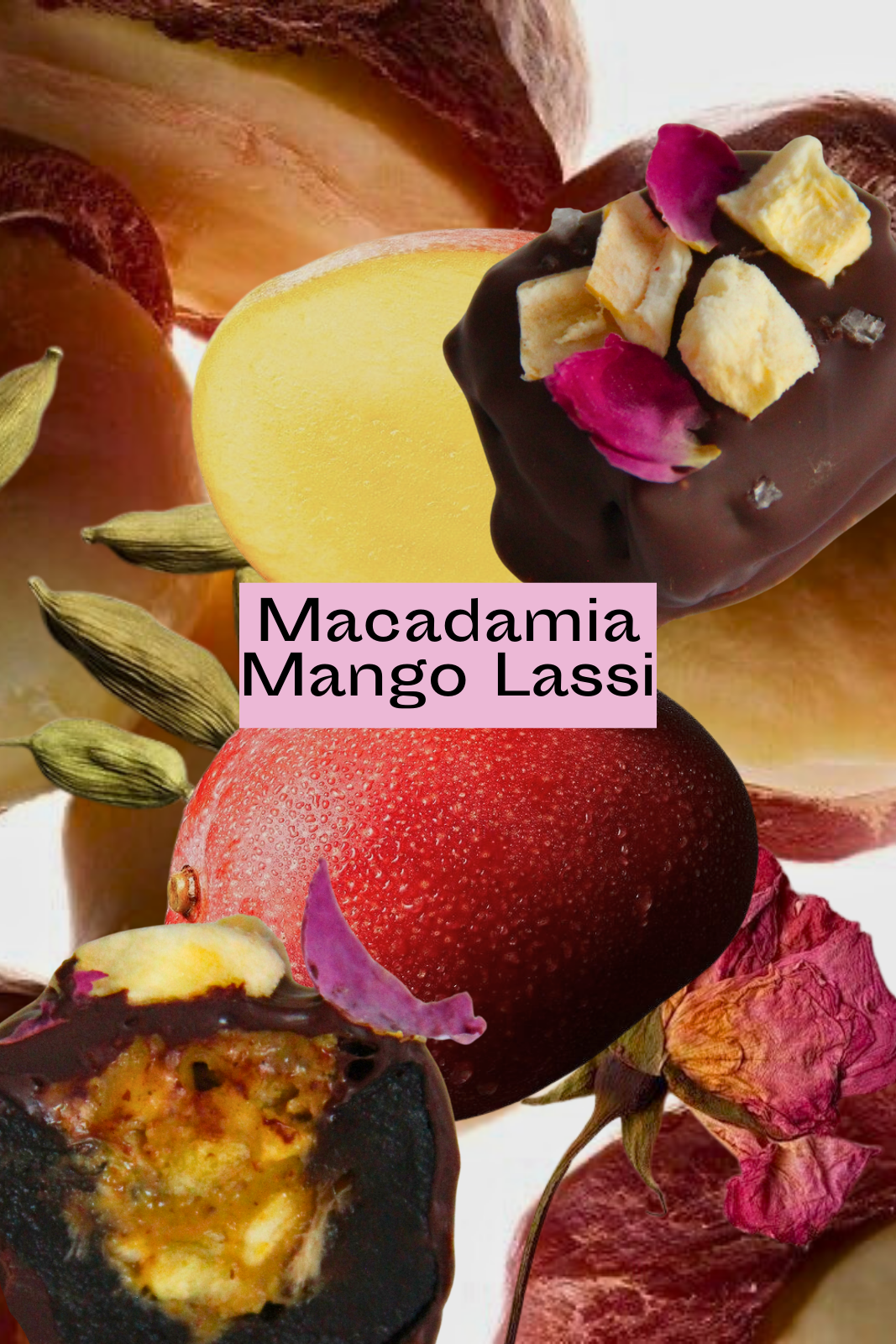 Pralines for Your Inner Seasons (Preorder, Shipping in March)