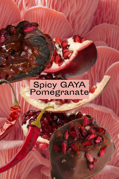 Pralines for Your Inner Seasons (Preorder, Shipping in March)